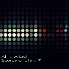 Source Of Life #17
