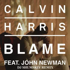 Calvin Harris feat. John Newman - Blame (SHUMSKIY remix)
