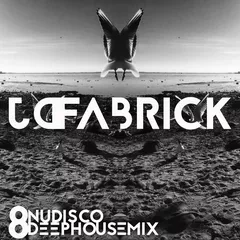 NUDISCO / DEEP MIX (vol.8)