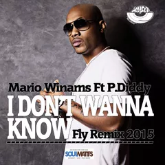 Mario Winans Ft. P. Diddy – I Don't Wanna Know (Fly Remix) [MOUSE-P]