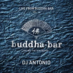 Live From Buddha Bar Vol. 14