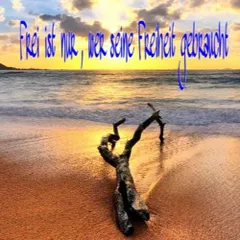 Frei Ist Nur, Wer Seine Freiheit Gebraucht