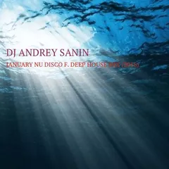 DJ ANDREY SANIN - JANUARY NU DISCO F. DEEP HOUSE MIX (2016)