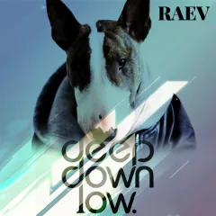 RAEV - Deep Down Low (February Mix)