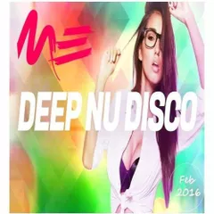 Deep Nu Disco (Feb 2016)