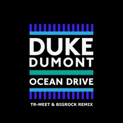 Duke Dumont - Ocean Drive (Tr-meet & Bigrock Remix) [2016]