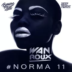 #Norma 11
