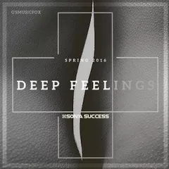 Deep Feelings Spring16