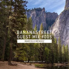 Bananastreet Guest Mix #005