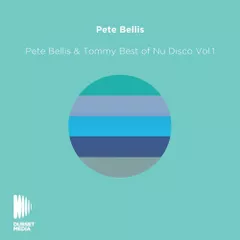 Best Of Nu Disco Vol.1