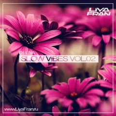 Slow Vibes #02
