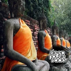 DeepHouseTracks Podcast #033 (May 2016)