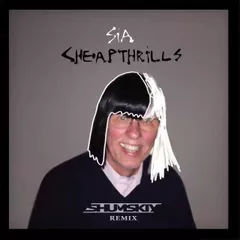Sia - Cheap Thrills (SHUMSKIY remix)