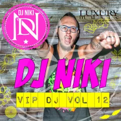 VIPDJ vol.12
