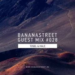 Bananastreet Guest Mix #028