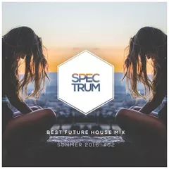 Future House Mix #02 (Summer 2016)