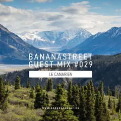 Bananastreet Guest Mix #029