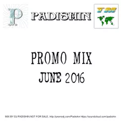 Promo Mix June 2016 - mixed by dj Padishin