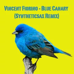 Vincent Fiorino - Blue Canary (Syntheticsax Remix)