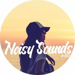 NS #80 (Best Of Deep & Chill House Mix 2016)