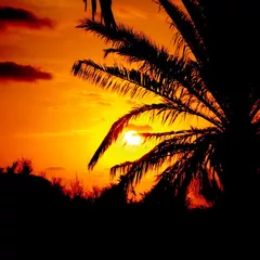 Balearic Sunset