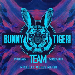 Bunny Tiger Team Podcast #010