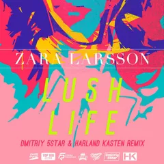 Zara Larsson - Lush Life (Dmitriy 5Star & Harland Kasten Remix)