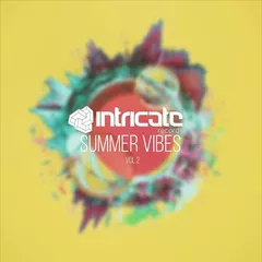 Intricate Records Summer Vibes Vol.2