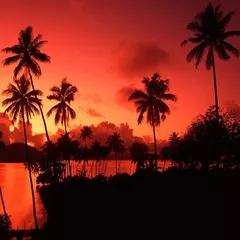 Goa is Well -Electro House