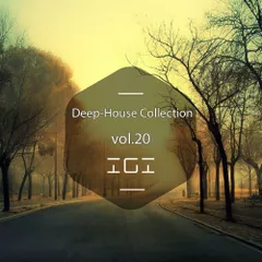 Deep House Collection vol.20