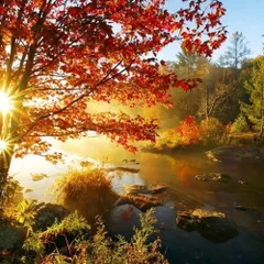 Deep House 11 (October 2016)