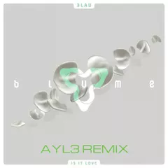 3LAU ft. Yeah Boy - Is it love (AYL3 remix)