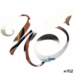 NS #102 (Best Of Vocal Deep House Mix 2016)