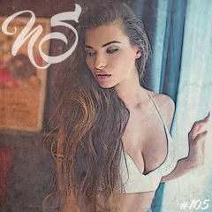 NS #105 (Best of Deep & Club House Mix 2016)