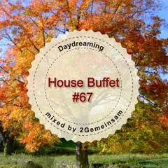 House Buffet #067