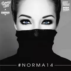 #Norma 14