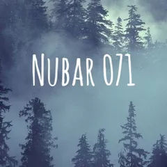 Nubar 071