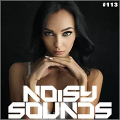 NS #113 (Best Of Deep & Chill House Music Mix 2016)