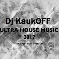 Ultra House Music 2017 (The Very Best of House)
