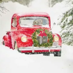 Merry Christmas & Happy New Year 2017