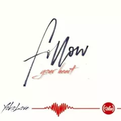 Follow Your Heart (Love Vibes)