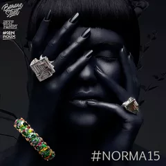 #Norma 15