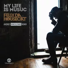 Felix Da Housecat — Music Is My Life (Andrey Vakulenko Remix)