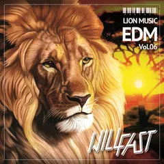 Will Fast – Podcast Lion Music Vol.06
