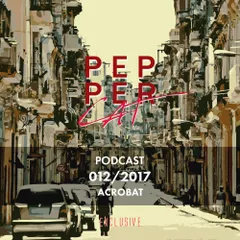 Pepper Cat Podcast 012/2017