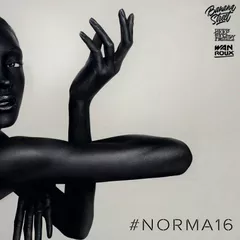 #Norma 16