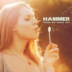 Promo Mix March 2017