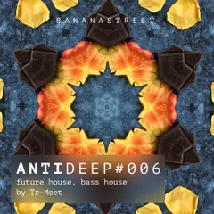 ANTIDEEP #006 (Future House & Bass House)