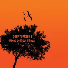 DEEP TURKISH 3