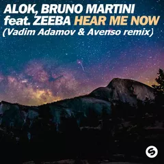 Alok & Bruno Martini feat. Zeeba - Hear Me Now (Vadim Adamov & Avenso remix)